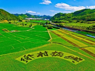 墟落振兴事情动态 （第146期）