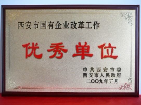 2009年5月，，，，，，被西安市委、市政府评为西安市国企业刷新事情优异单位