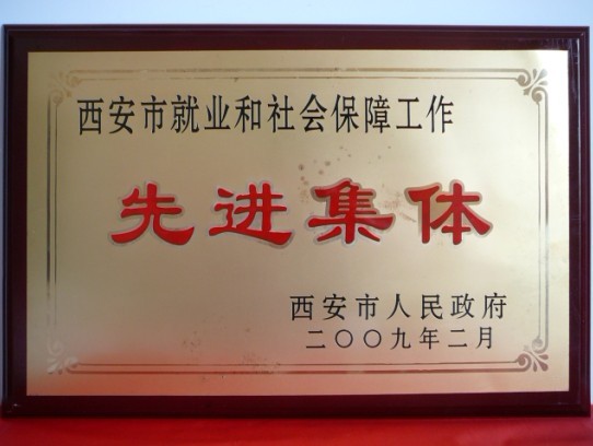 2009年2月，，，，，，被西安市政府评为西安市就业和社会包管事情先进整体